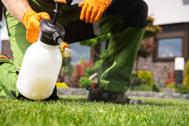 Best Emergency Pest Control  in High Springs, FL