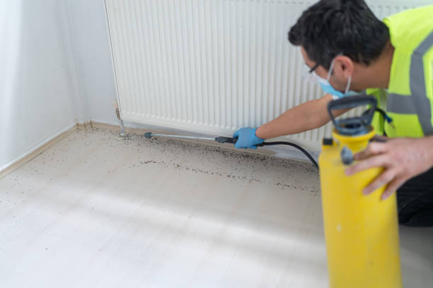 Pest Prevention Services in High Springs, FL