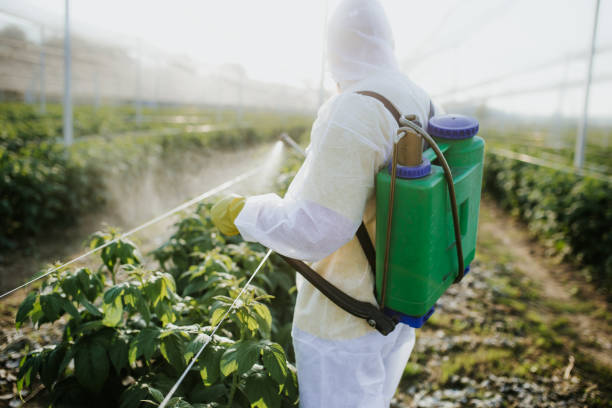 Best Pest Prevention Services  in High Springs, FL